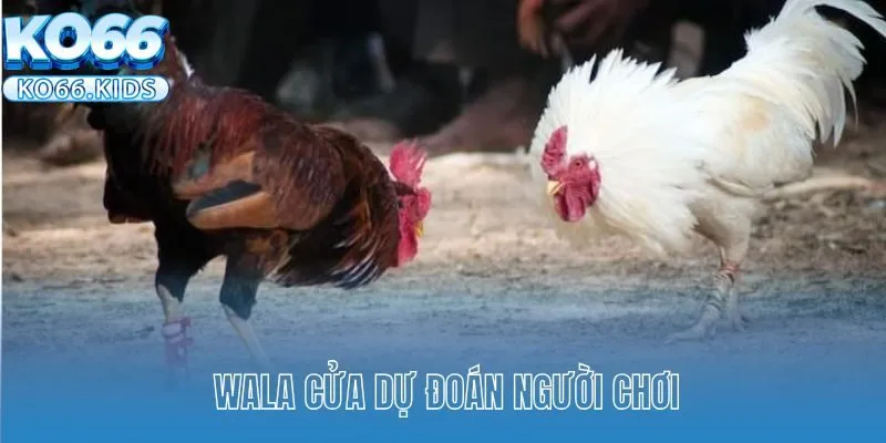 Wala cửa dự đoán người chơi