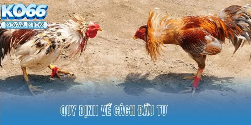 Quy định về cách đầu tư