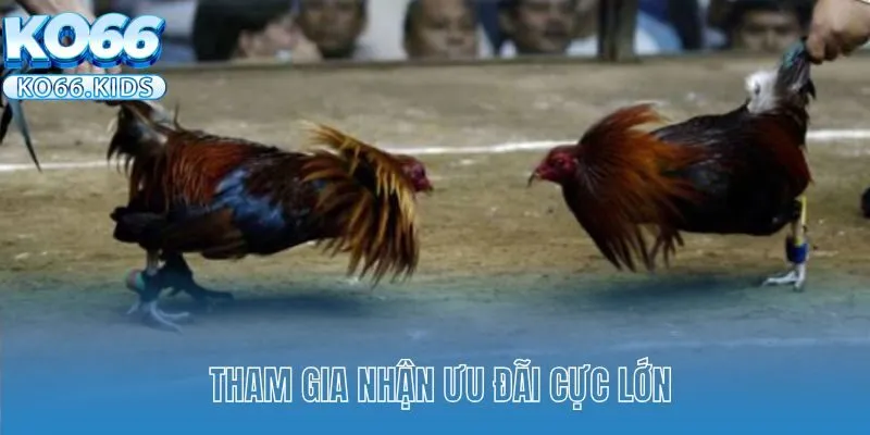 Tham gia nhận ưu đãi cực lớn