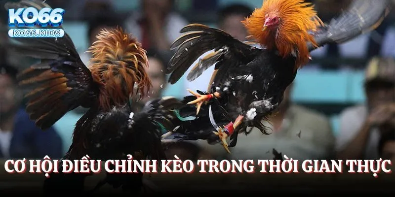 Cơ hội điều chỉnh kèo trong thời gian thực