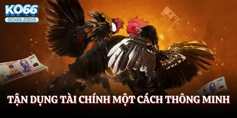 Quản lý vốn cược hiệu quả