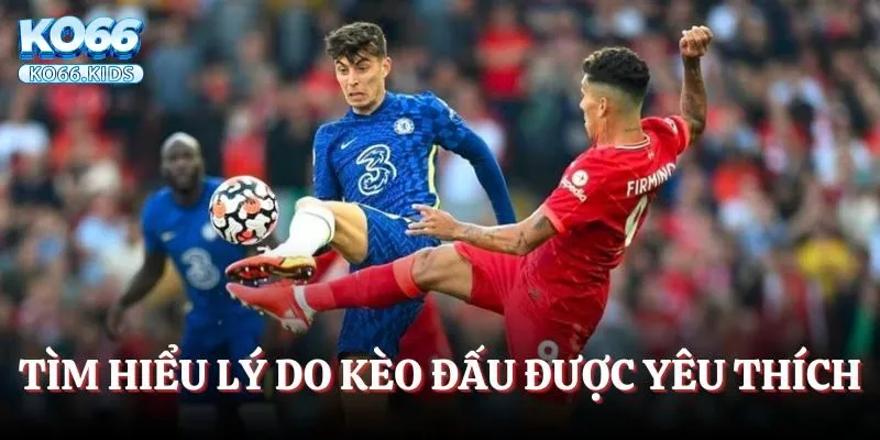 Tìm hiểu lý do kèo đấu này được yêu thích