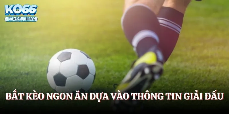 Bắt kèo ngon ăn dựa vào thông tin giải đấu