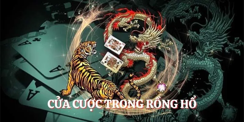 Cửa cược trong Rồng hổ